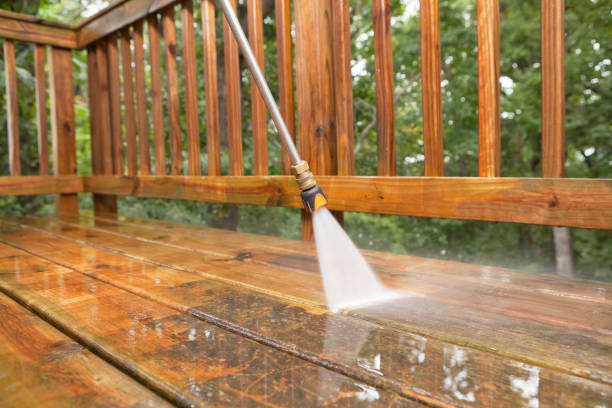 Best House Exterior Washing  in Rushvle, IL